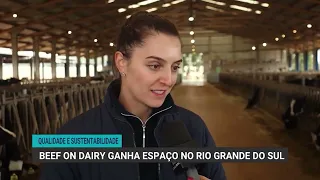 Cruzamento Beef on dairy une leite e corte para gerar bezerros de alto valor no Sul