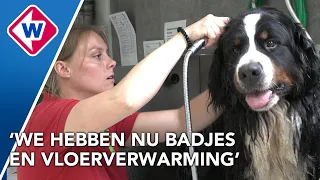 Dit asiel, pension én bejaardenhuis voor dieren bestaat 100 jaar