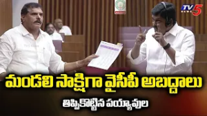 Minister Payyavula Keshav Strong Counter To YCP Comments On Budget | AP Council || TV5 News