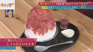 【週末ソムリエ】隠れ家カフェ！老舗和菓子店のかき氷🍧