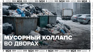 Мусорный коллапс в Подмосковье: снег блокирует контейнеры, дворы завалены отходами