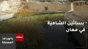 جهود رسمية وشعبية للحفاظ على بساتين معان الشامية التي يتجاوز عمرها 300 عام