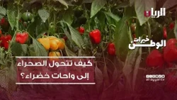 برنامج خيرات الوطن - كيف تتحول صحراء قطر إلى واحات خضراء؟