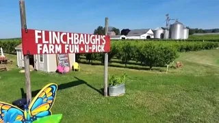 How this York County farm is providing for the community despite a ravaging freeze | Red, White and