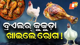 Are You Buying Disease in the Name of broiler Chicken? OTV Ground Report