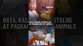 Bata, kasama sa pagtulog at pagkain ang toy animals | GMA News Feed