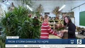 Plant business owner battles insurance company after storm destroys inventory