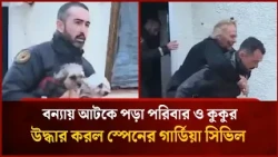 বন্যায় আটকে পড়া পরিবার ও কুকুর উদ্ধার করল স্পেনের গার্ডিয়া সিভিল | Mytv