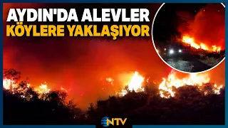 The Frightening Scene After the Wind-Fueled Fire in Aydin Çine! | NTV