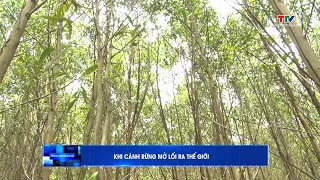 Foreign Affairs News August 27, 2026 | Thanh Hoa Television