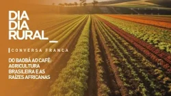 From Baobab to Coffee: Brazilian Agriculture and its African Roots