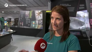 New experience tunnels at Nuremberg Zoo: Getting to know the denizens of the deep sea