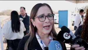 Durango registra 22 incendios forestales en lo que va del año