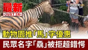 動物園推「馬」字優惠 民眾名字「驫」被拒超錯愕【最新快訊】