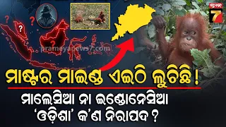 ଓଡ଼ିଶା ଜଙ୍ଗଲରେ ୫ ଓରାଙ୍ଗଉଟାନ୍ ଛୁଆ! ଇଣ୍ଡୋନେସିଆ-ମାଲେସିଆରୁ ଆସିଲେ କେମିତି, ଖୋଲୁଛି ଚୋରାଚାଲାଣ ରହସ୍ୟ....