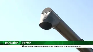 Драстичен скок на цените на пшеницата и царевицата026