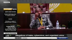 Ad Hoc Committee | Allegations of leaks, cybercrime and organised crime