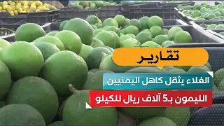 Lemon at 5,000 Riyals per Kilo: Soaring Prices Burden Yemenis