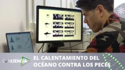 Awareness | Ocean warming pushes large fish to the limit
