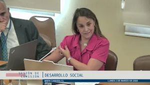 Comisión Desarrollo Social / Lunes 2 marzo 2026
