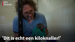 Zo vangt deze stichting zielige egeltjes op | Mijn Mooiste Plek #1