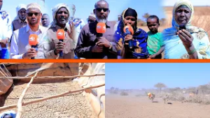 Hayadda Al-raxma Oo Deegaanka Wado Makaahiil Gaadhsiisay 16 Boyadood Oo Biyo Ah.