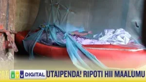HATARI!  RIPOTI MAALUM HII  ILIYOGUNDUA MENGI  KATIKA DAMPO LA KITAJI MKAONI MARA - MUSOMA
