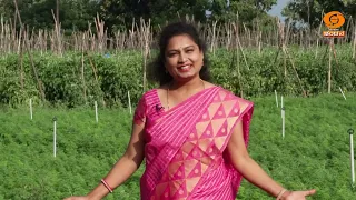 Krishi Darshana | "ತೋಟಗಾರಿಕೆ ಬೆಳೆಗಳಲ್ಲಿ" ಯಶಸ್ಸು ಕಂಡ ಪ್ರಗತಿಪರ ಕೃಷಿಕರೊಡನೆ ಸಂದರ್ಶನ | 21.08.2026