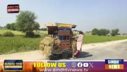 Jacobabad Time With Zain Sarki 22 October 2026 | Sindh TV News