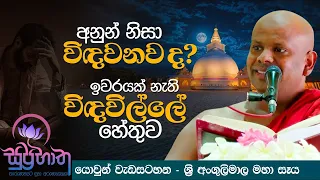 අනුන් නිසා විඳවනව ද? ඉවරයක් නැති විඳවීමේ හේතුව | Ven. Welimada Saddaseela Thero