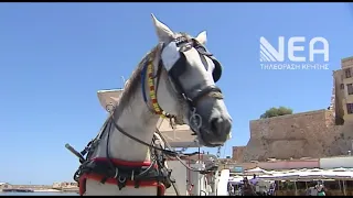 ΑΝΑΚΛΗΣΗ ΑΔΕΙΩΝ ΑΜΑΞΕΣ ΕΝΕΤΙΚΟ ΛΙΜΑΝΙ