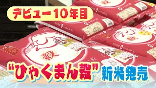 "The more you chew, the sweeter it gets": Ishikawa brand rice Hyakuman-goku's new harvest goes on...