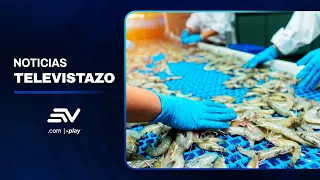Shrimp sales growth in Ecuador | Televistazo | Ecuavisa