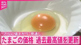 【たまごの価格】過去最高値を更新  年末にかけ“さらに値上がり”見通し