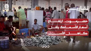Hadhramaut: Soaring fish prices burden families