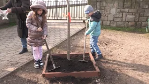 Keszthely ismét csatlakozik a Nemzeti Faültetés Napjához