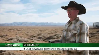 В САЩ създадоха виртуални огради за пасища