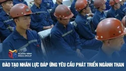 Training Personnel to Meet the Development Needs of the Coal Industry