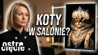 TAKIEGO SALONU JESZCZE NIE WIDZIELIŚCIE 😳 KOTY SĄ WSZĘDZIE 😻 | Ostre cięcie | Ostre cięcie