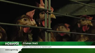 ПТИЧИ ГРИП: ЕФСА с препоръки за превенция