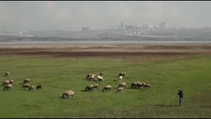 Жер бетінде топырақ тозып барады