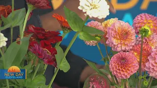 New Day Cleveland: Lake Erie Bloom