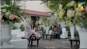 Pal Mein Tola Pal Mein Masha...! Daam-e-Mohabbat - HUM TV