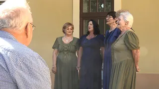 Civilek kaposvári ünnepe