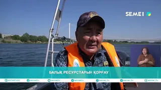 PROTECTION OF FISH RESOURCES