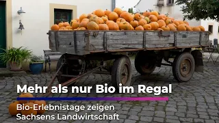Experience Organic: A Visit to Saxony's Farms