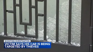 Homeowner shot through back door: 'I can't understand why people doing this?'