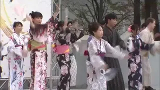 Takamatsu City's Major Summer Event: Sanuki Takamatsu Festival's "So-Odori" Dance Held at Sunport...