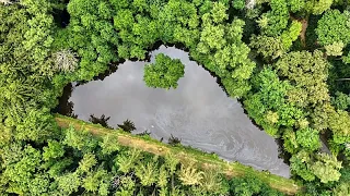 Desinformação climática evolui: da inteligência artificial ao 'greenlash'
