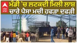 ਮੰਡੀ 'ਚ ਲਟਕਦੀ ਮਿਲੀ ਲਾਸ਼, ਚਾਰੇ ਪੈਸਾ ਮਚ ਗਈ ਹਫੜਾ ਦਫੜੀ | ABP Sanjha | Punjab News